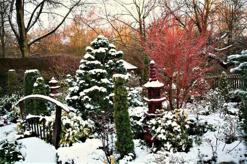 Four-Season Landscape Design Ideas