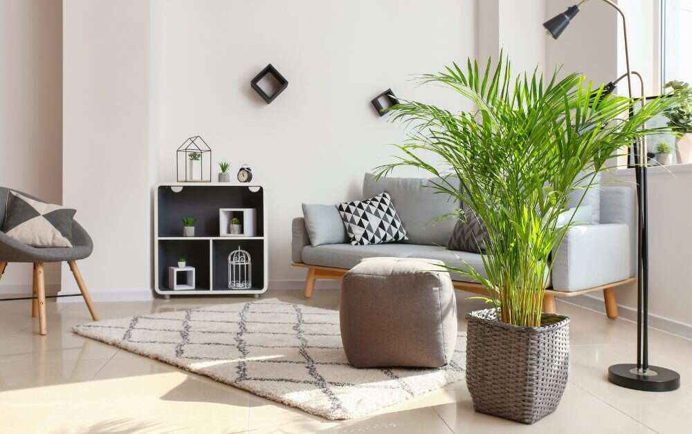 Towering green companion thriving.