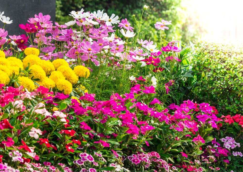 Infuse your surroundings with a burst of vibrant hues.