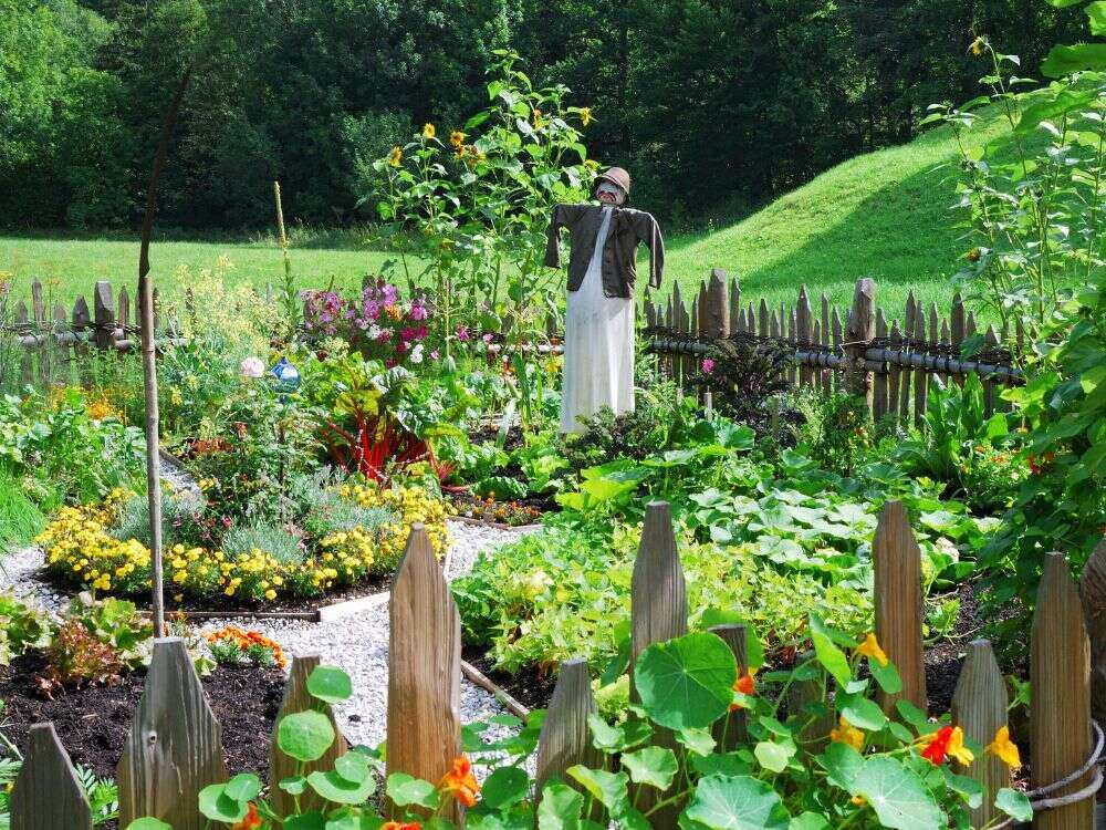 An image of a home following a succession garden schedule.