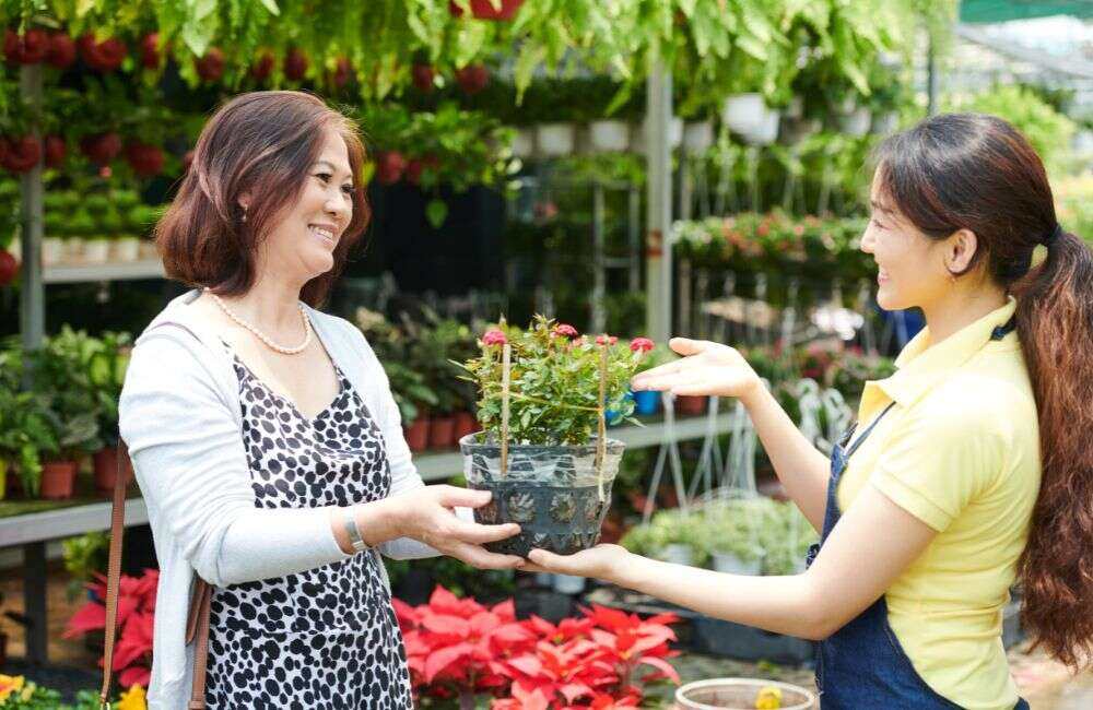 an image of a home gardener selling plants.