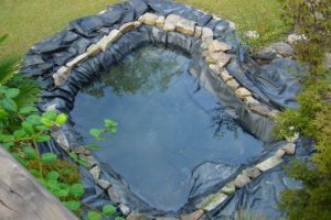 Our Natural Swimming Pond Build:  Snakes and Ladders