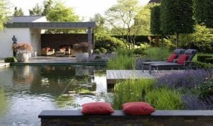 Is a natural swimming pond the solution to swimming pool headaches?