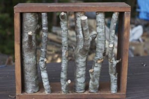 Inexpensive DIY Branch Coat Rack
