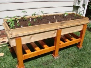 Building an Amazing Waist High Planter Box With These 5 Essentials