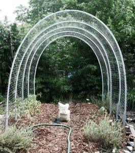 How to Make a Sturdy Hoop House Trellis With Just 5 Materials