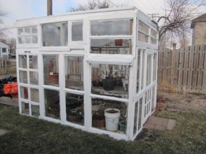 Greenhouse From Old Windows: Cheap 1-Day Build for Gardens
