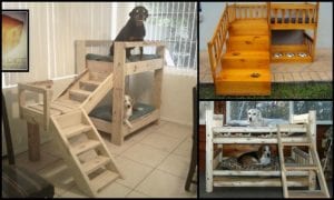 DIY Dog Bunk Bed