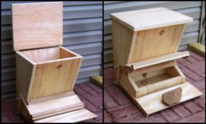 Treadle Chicken Feeder