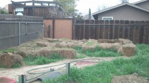 Straw Bale Gardening