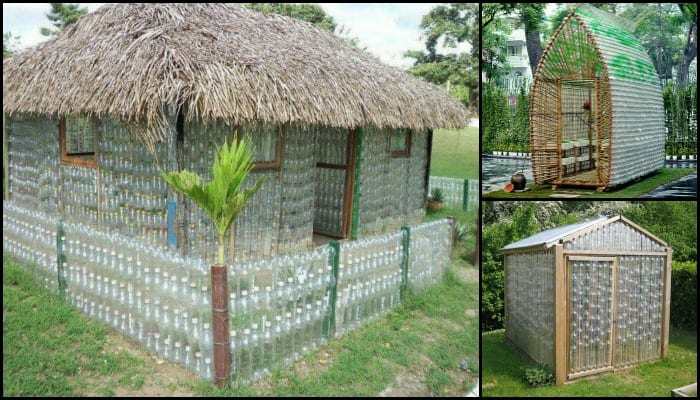 Plastic Bottle Greenhouse