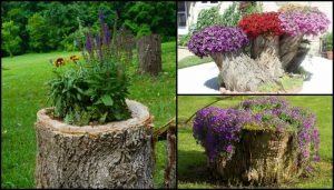 Tree Stump Planter