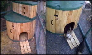 Cable Spool Duck House