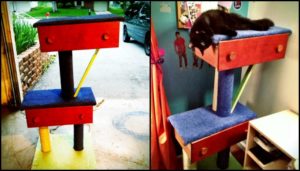DIY Cat Tree