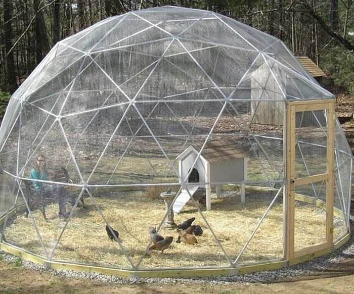 Geodesic Chicken Coop
