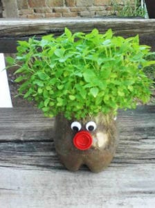 Green hair planter recycled plastic bottles