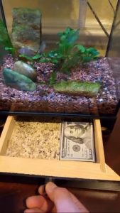 DIY Fish Tank Secret Hiding Place: Practical 8-Step Storage