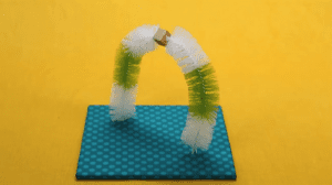 Inexpensive Cat Self Grooming Brush: Easy 3-Step DIY Project