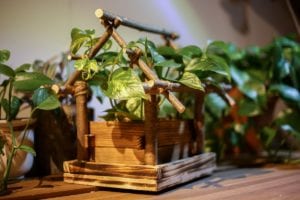 DIY Birdhouse Planter: 11 Quick and Easy Steps