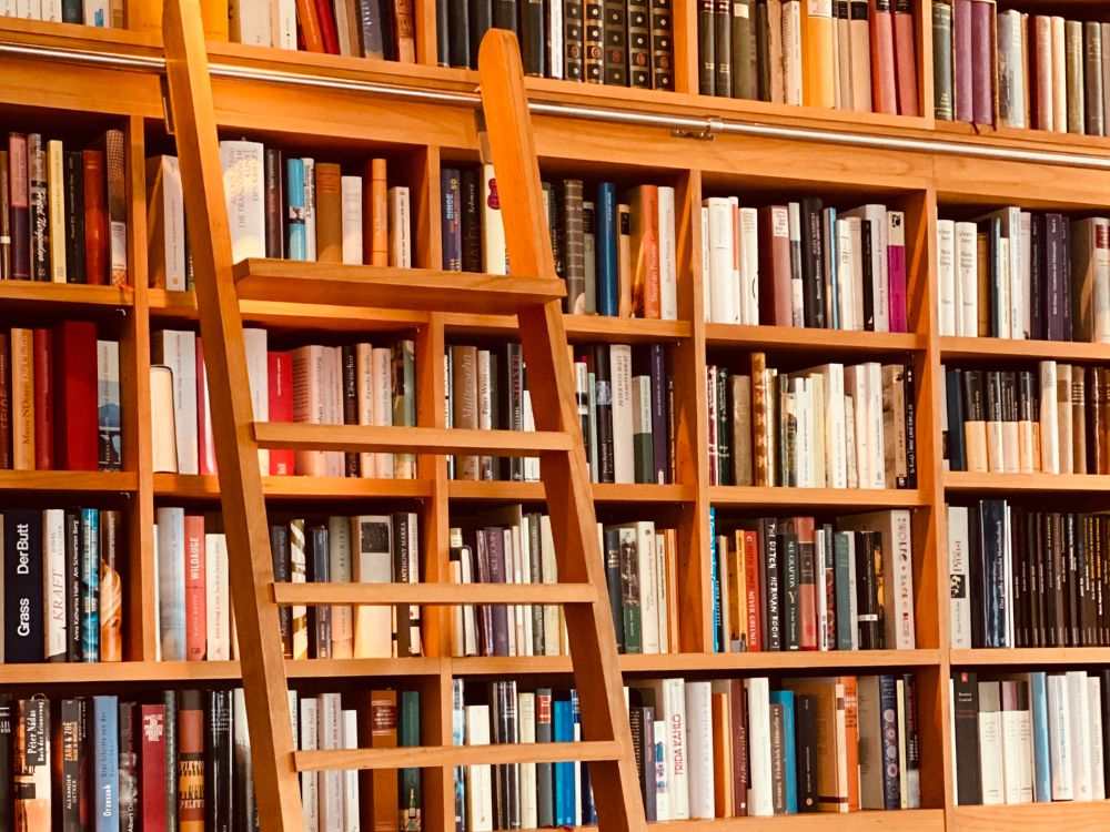 An image of a bookshelf ladder for an article about DIY bookshelf ladder projects.