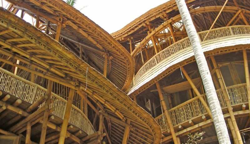 Bamboo builds magnificent multi-story structures