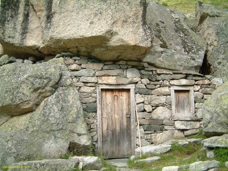 Who do you think lives inside this amazing piece of handiwork?