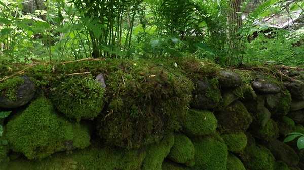 Stone... as old as time