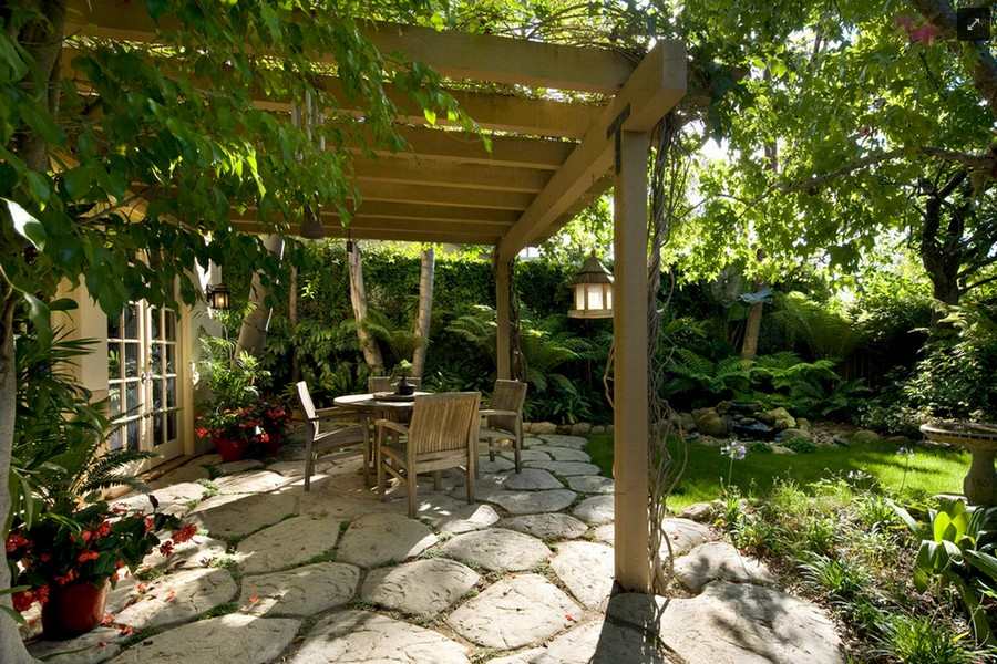 A green oasis for cats