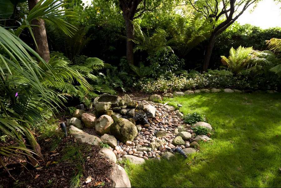 A green oasis for cats