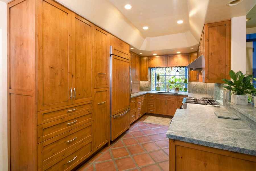 A green oasis for cats