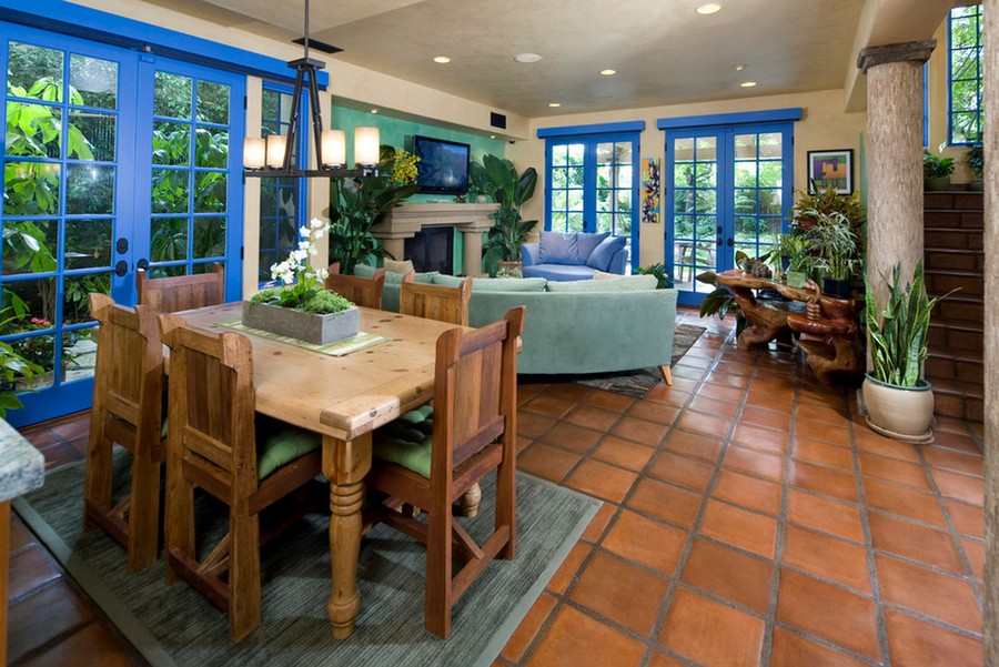 A green oasis for cats