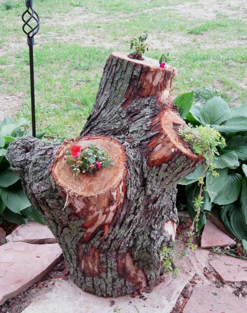 Stump Planter - Tarnished Loyalty