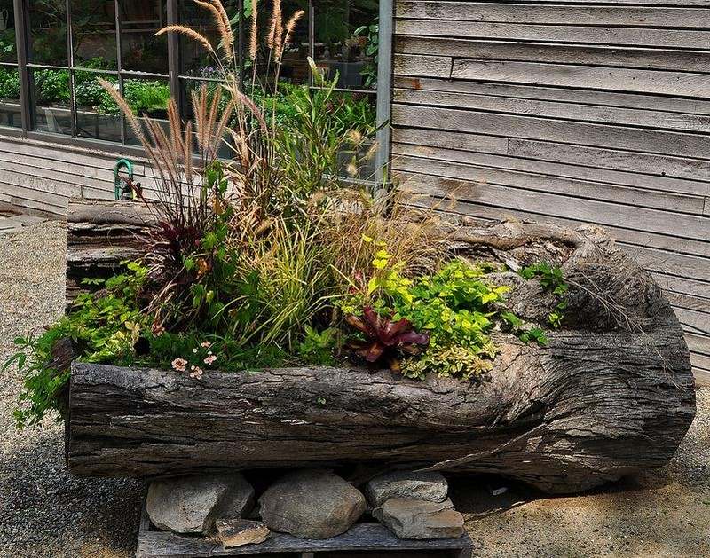 Log Planter - A Tidewater Gardener
