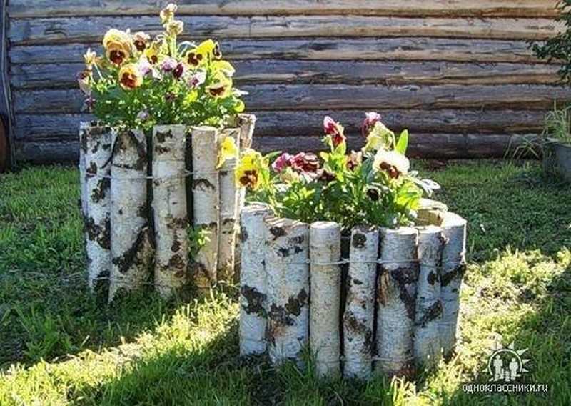 Birch Log Planter Try with driftwood - Live Internet