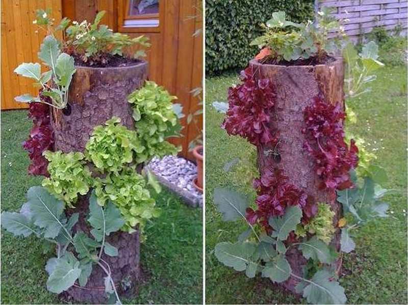 Log Planter - Praktic Ideas