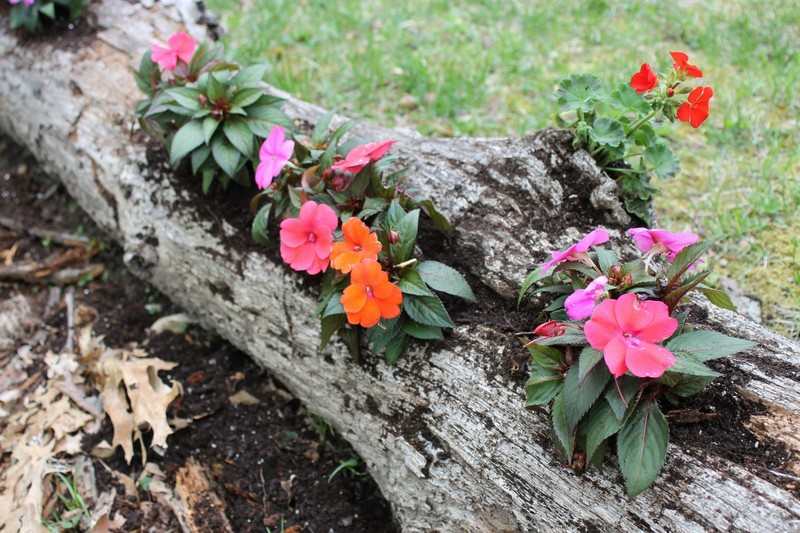 Re-Purposed Tree Log Planter - Paint Speckled Pawprints