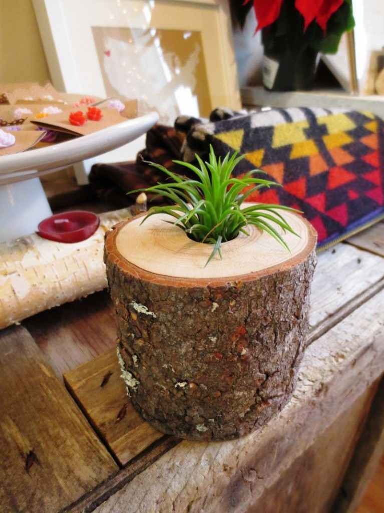 Tree Log Planter - Boat People