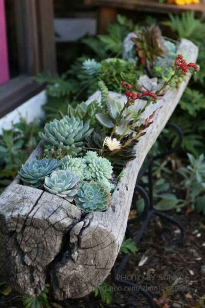 Log Planter - Shirly McDonnell