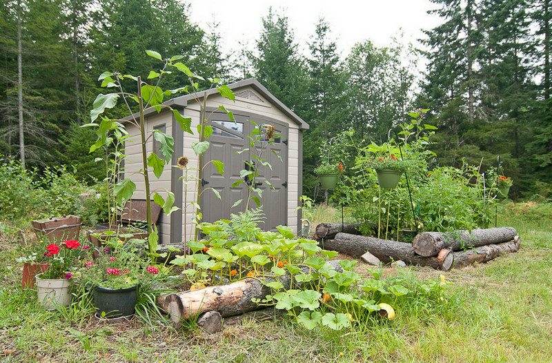 A raised vege garden!