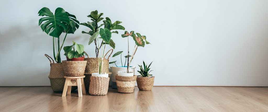 Eco-friendly flooring options are becoming increasingly popular as people seek sustainable and environmentally conscious choices for their homes.